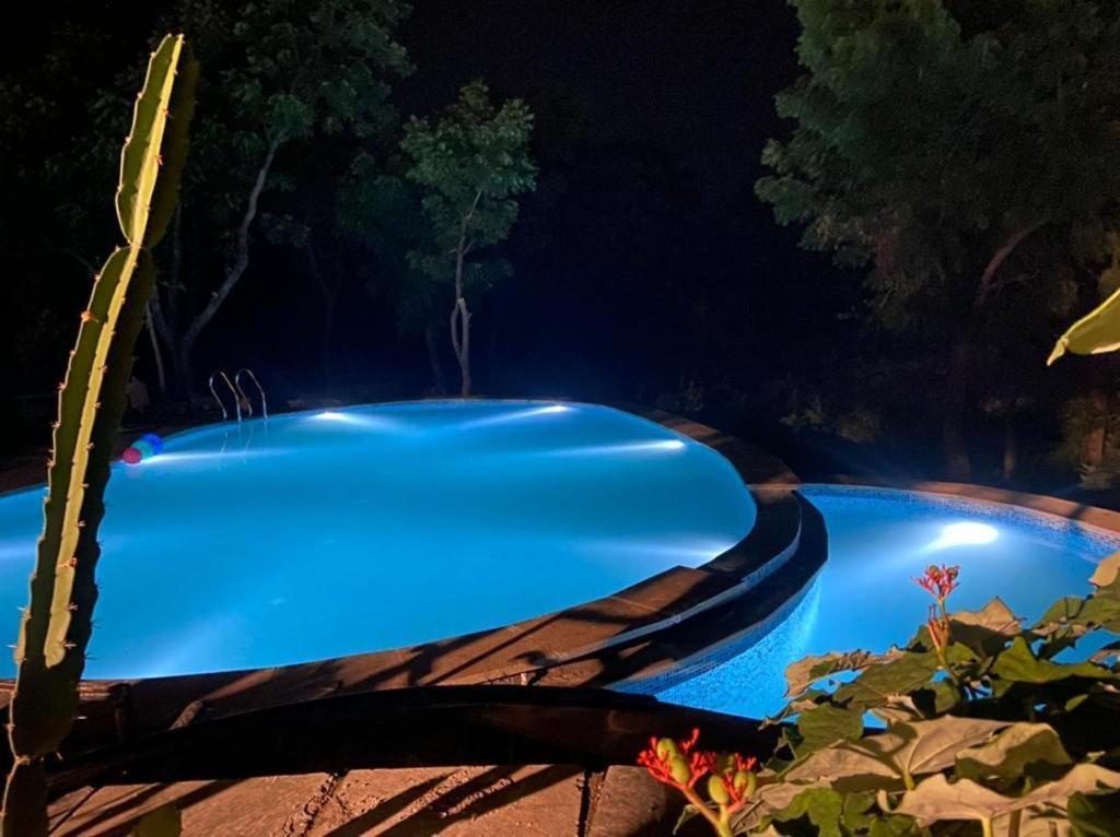 Villa Amaltas Udaipur Exterior foto